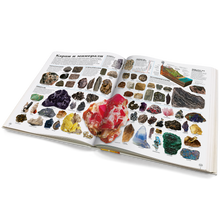 Поставете слика во прегледувачот на галеријата – ЕНЦИКЛОПЕДИЈА ОД 7 ДО 77